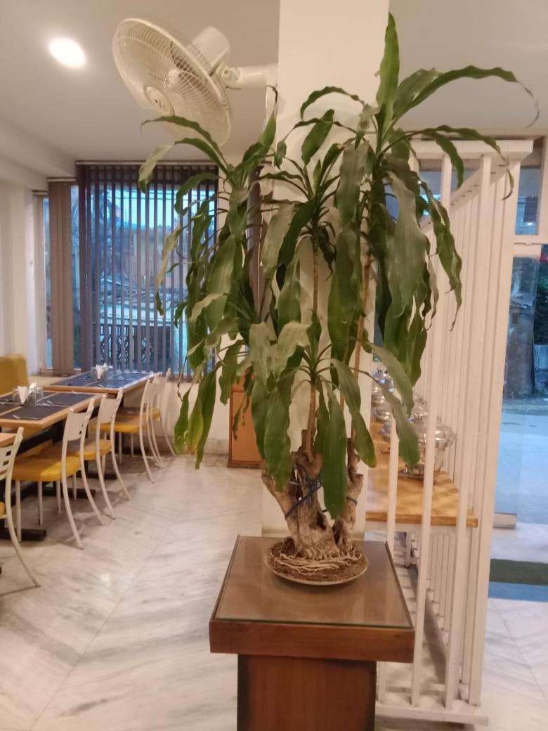 Hotel The Maple